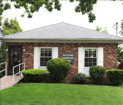 boulevard veterinary clinic