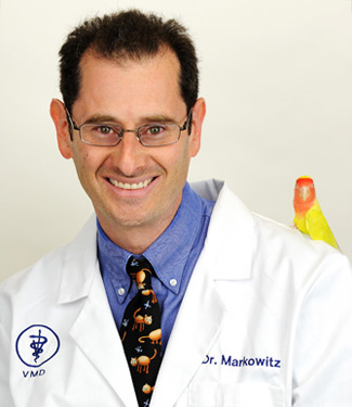 Dr Robert Markowitz
